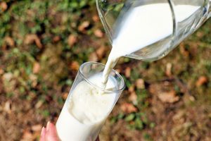milk linked to acne